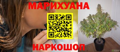 ГАЛЛЮЦИНОГЕННЫЕ ГРИБЫ Обь